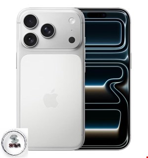 حافظه یک ترا گیگ نات اکتیو رنگ سفید Silver